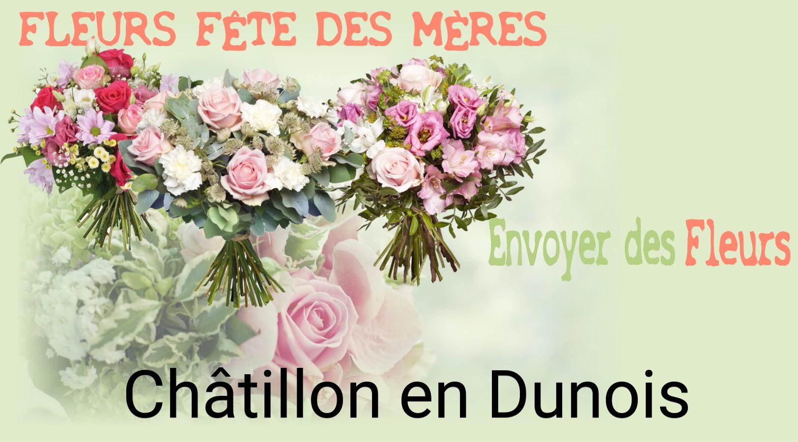 Bouquet de Fête des Mères livré à Châtillon-en-Dunois